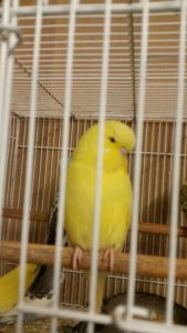 Image 16 August 2019 8_14_57 am